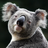 Koala Wallpapers icon