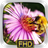 Flower Wallpaper HD icon