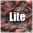 Guts and Goo Lite icon