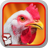 AngryChicken icon