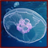Jellyfish Wallpaper App icon