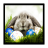 Easter Wallpaper icon