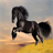 Horse  Scratch Card icon
