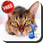 cats animal sounds book　cute kitty icon