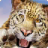 Animal Sim Online: Big Cats 3D