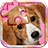 Cute Dogs Jigsaw Puzzle Game icon