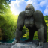 Gorilla Animal Hunting icon
