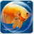 Descargar DreamFish Seasons