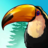 Birdstopia version 1.0.5