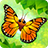 Flutter: Butterfly Sanctuary 2.55