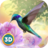 Hummingbird Simulator 3D icon