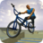 BMX FE3D version 1.49