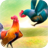 Wild Rooster Run version 2.11.4