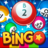 Bingo Pop version 3.12.36