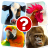 Memory game: animals APK Download