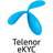 TelenorEkyc icon