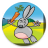 Fun Bunny Game icon