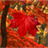 Galaxy S3 leaf Live Wallpaper icon