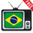 Brazil TV Sat