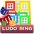 Ludo Bing icon