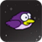 Jolly Bird icon