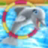 Dolphin Show version 2.2.7