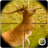 Deer Hunter version 1.62