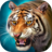 The Tiger version 1.3.6