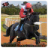 Racing Horse Jump 2018 icon