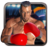 Real 3D Boxing Punch version 2.2