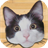 Only For Cats APK Download