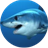 Piranha Shark Attack version 2