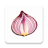 Onion search engine icon