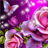 glitter rose wallpaper icon
