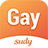 SudyGay icon