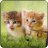 Dog and Cat Puzzle 2018.1.6