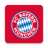 FC Bayern icon