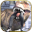 Dinosaur simulator Dino world version 1.1.1