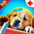Pet Hospital Animal Doctor version 1.3