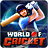 World Of Cricket version 4.2