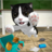 Cat Sim version 2.3.30