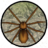 Spider Colony Simulator version 1.3