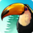 Birdstopia version 1.2.9