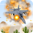 AirFight War icon