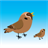 Bird Rescue APK Download