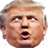 Donald Trump Fly icon