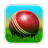 Cricket 3D icon