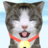 Cat Sim version 22