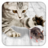 Game for cats icon