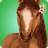 HorseHotel version 1.3.3